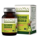 Banyan Botanicals Kaishore Guggulu – Organic Joint Support Supplement – Traditional Blend that Supports Healthy Joints, Muscles, and Connective Tissue* – 90 tablets – Non-GMO Sustainably Sourced Vegan