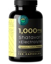 Organic Shatavari Root Capsules - Supports Women's Hormonal Balance & Wellness - Enhanced with Electrolytes - Magnesium, Sodium, and Potassium - 120 Capsules