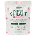 Organics Ocean Shilajit for Men and Women - Shilajit Supplement with Vitamin B12, Chromium and Selenium for Age-Defying, Energy, Hormone Support - Pumpkin Cocoa Flavor - 60 Gummies