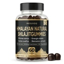 Himalayan Shilajit Gummies, 3000mg High-Potency Fulvic Acid, Supports Healthy Kidney Function, Energy & Vitality for Men, Sleep & Focus, Sugar-Free, 60 Gummies