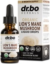 Lions Mane Mushroom Supplement Drops - Βιολογικό Mane Mushroom Υγρή Βάμμα για Εστίαση, Fog Brain Health Supplements - Vegan Herbal Nervine Nootropic Organic Lions Liquid Supplement Extract 1oz