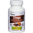 Sayan Siberian Chaga Mushroom Extract – 90 κάψουλες/420mg ea – Natural & Wild-Harvest Antioxidant Supplement – Immune System Support & Regulate Body Functions – Vegan, Non-GMO, No Fillers or Additives