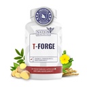 T-Forge - Energy and Mood Support Supplement for Men with Tongkat Ali, Folic Acid, L-Arginine, Tribulus Terrestris, Ashwagandha, Fenugreek - 90 Capsules
