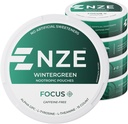 NZE Caffeine Free Nootropic Pouches (Wintergreen) - Nootropic Pouches με Alpha GPC, L-Tyrosine & L-Theanine - Χωρίς Ζάχαρη ή Τεχνητά γλυκαντικά - 15 Pouches Per Can - 5 Pack