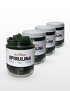 Raw Fresh Spirulina (4)