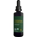 Παγκόσμια Θεραπεία USDA Organic Elderberry & Echinacea Υγρό συμπλήρωμα Βάμμα 