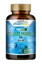 Celulas Madres AFA Stem Natural Cell 120 Capsules 1000 mg Blue Green Algae Non GMO Gluten Free Aphanizomenon Flos-aquae celula Madre suplement