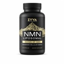 ZYVA Liposomal NMN Supplement 500mg – Supports Healthy NAD+ Levels & Cellular Energy – Mitochondrial Support – 30 Vegan Capsules – Pure Nicotinamide Mononucleotide – Healthy Aging – GMP Certified