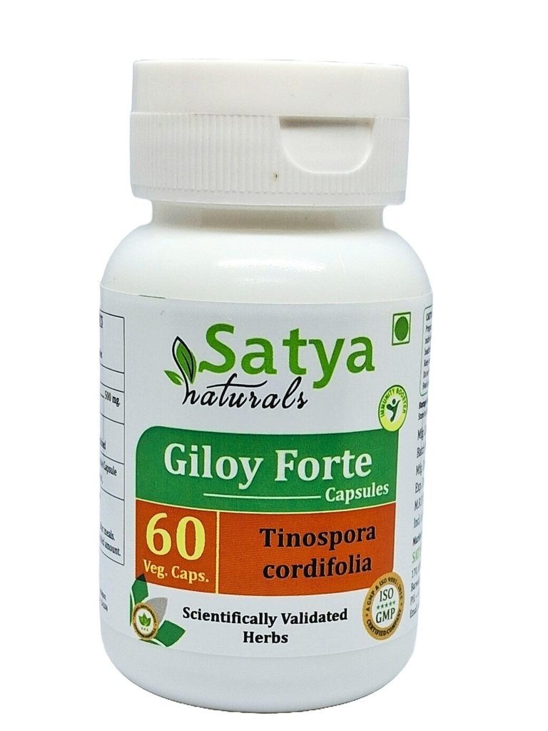 Giloy Forte Capsules 500 mg. 60 Veg. Capsule | Guduchi (Tinospora Cordifolia) Extract Capsules for Men and Women | Indian Ayurvedic Herbal Supplement/Remedies (1 Bottle of 60 Capsules)