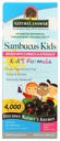 Nature's Answer, Sambucus Kids Formula, 8 Ounce