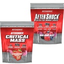 Myogenix Critical Mass Strawberry 5 lbs & Aftershock Wildberry Blast 6 lbs – Critical Mass: Whey Protein Powder, Creatine & Glutamine – Aftershock: Recovery Carbohydrates, Protein Powder, & Aminos Sta