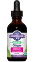Oregon's Wild Harvest Ginger Organic Extract – 2oz Alcohol Liquid Herbal Supplement – USDA Organic, Non-GMO, Vegan, Gluten-Free – Digestion & Motion Support