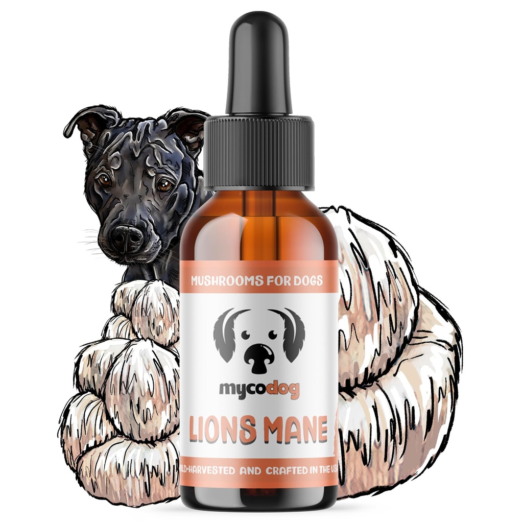 MycoDog Lions Mane Mushroom Supplement for Dogs - Cognitive & Brain Health - Lions Mane for Dogs - Senior Dog Wellness Drops