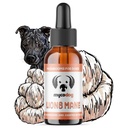 MycoDog Lions Mane Mushroom Supplement for Dogs - Cognitive & Brain Health - Lions Mane for Dogs - Senior Dog Wellness Drops