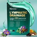 21-in-1 Liposomal Lymphatic Drainage Supplements Softgels, 100 Day Supply, 6000mg Lymph System Support for Women & Men with Echinacea, Dandelion, Burdock, Bromelain, Calendula, Turmeric & More, 1 Bag