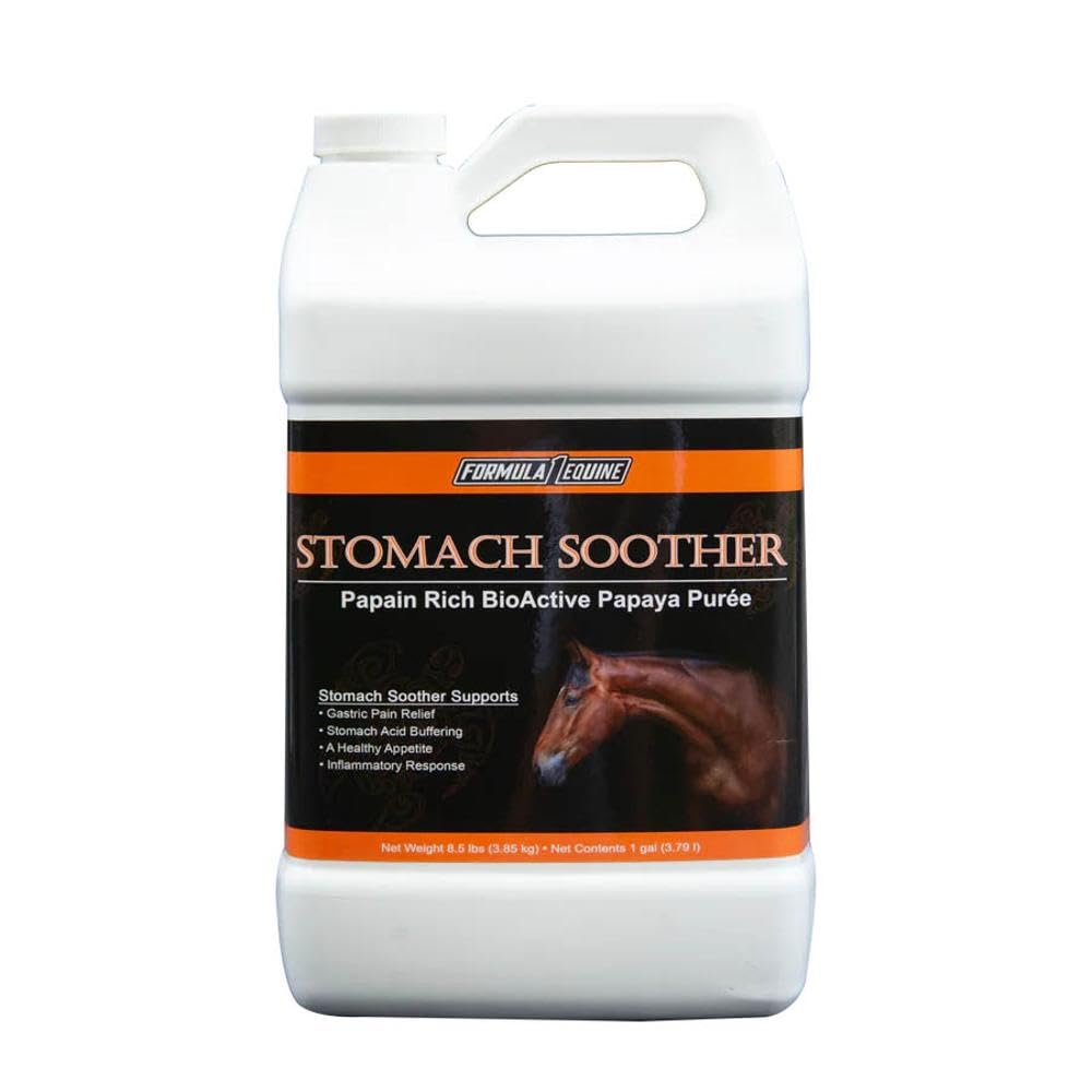 Formula 1 Noni Papaya Stomach Soother Gallon 1G