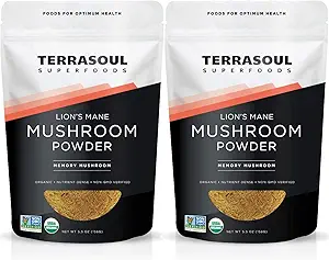 Terrasoul Superfoods Organic Lion's Mane Mushroom Powder (4:1 Extract), 11 ουγγιά