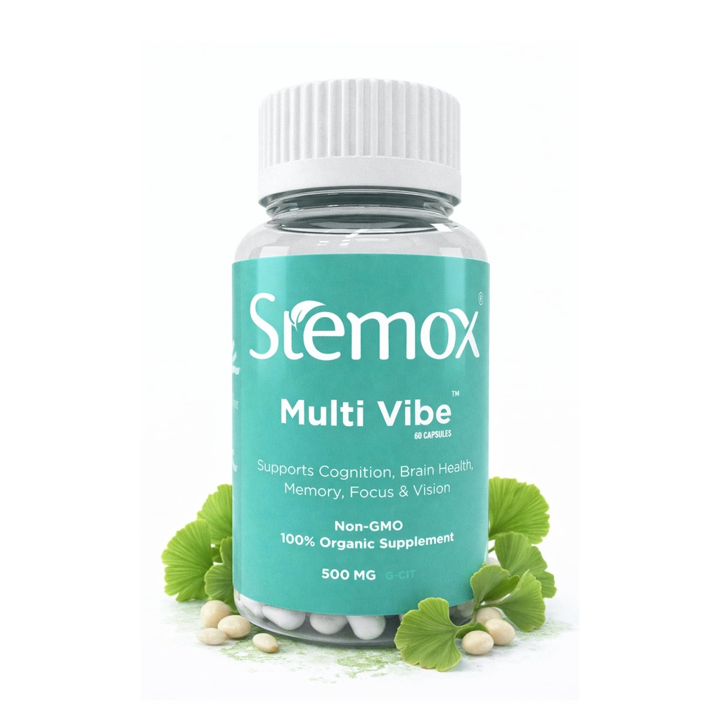 Multi Vibe Brain Supplement with Ginkgo Biloba 120mg, Ginkgo Biloba Capsules, Memory Supplements, B Vitamins, Focus Support, Cognitive Health – 60 Capsules