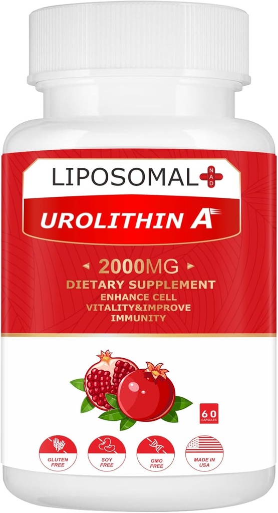 Liposomal Urolithin Ένα συμπλήρωμα 2000MG για την ενέργεια 60 κάψουλες