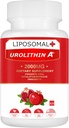Liposomal Urolithin Ένα συμπλήρωμα 2000MG για την ενέργεια 60 κάψουλες