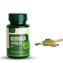 Purely Haven Moringa Capsules – Premium Moringa Leaf Powder Green Superfood for Daily Energy, Skin & Digestive Support, Antioxidant-Rich with Essential Nutrients – 60 Capsules