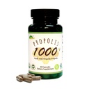 GREENBOW Πρόπολη 1000mg NonGMO Κατασκευασμένο με οργανική πρόπολη 60 κάψουλες VEGAN CAPSULES