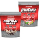 Myogenix Critical Mass Cookies & Cream and Aftershock Wildberry Blast 6 lbs – Critical Mass: Whey Protein Powder, Creatine & Glutamine – Aftershock: Recovery Carbohydrates, Protein Powder, & Aminos
