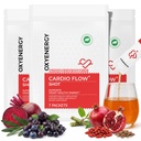 OxyEnergy Heart & Vascular & Blood Pressure Health Liquid Supplement | Nitric Oxide, Beet Root & CoQ10 & Olive & Resveratrol, Non-GMO, Natural Berry Flavor 21 Stick Packs