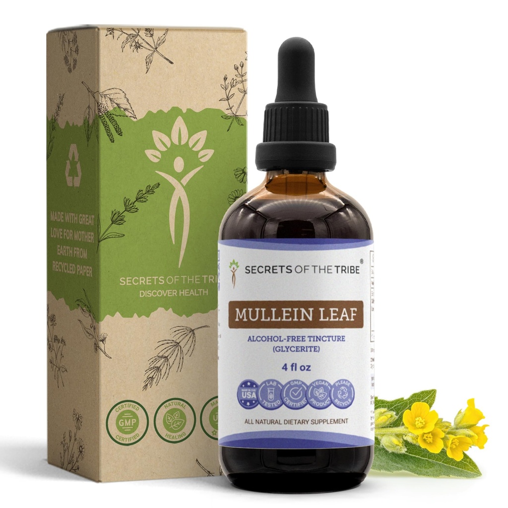 Secrets of the Tribe Mullein Leaf Tincture Alcohol-Free Liquid Extract, Mullein (Verbascum thapsus) (4 FL OZ)