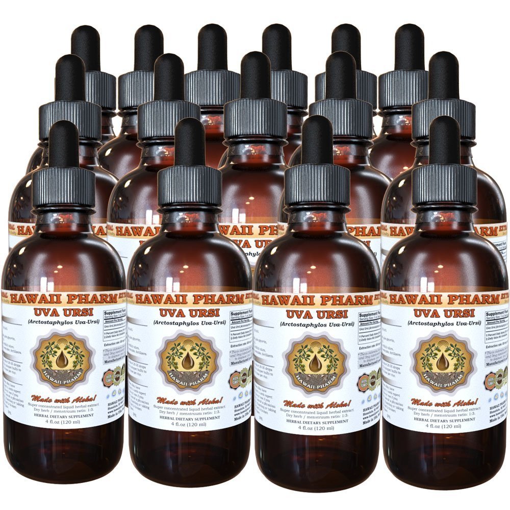 Uva Ursi (Arctostaphylos uva-Ursi) Liquid Extract 15x4 fl.oz