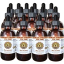 Uva Ursi (Arctostaphylos uva-Ursi) Liquid Extract 15x4 fl.oz