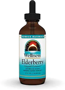 Source Naturals Wellness Elderberry Liquid Extract, for Immune System Support* - Sambucus nigra - 4 Fluid oz