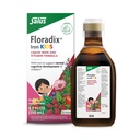 Floradix Iron Kids - Liquid Iron & Vitamin Formula - Children's Supplement with C & B Vitamins - Vegan - Raspberry-Vanilla Flavor - 8.5 fl oz