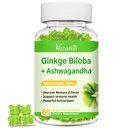 Ginkgo Biloba Gummies 240mg with Panax Ginseng for Better Mood and Focus, Booster Brain Health, 60 Vegan Apple Flavor Gummies