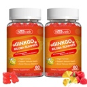 2 Pack Ginkgo Biloba Gummies with Ashwagandha, Vitamin C & Magnesium - Vegan, Non-GMO, Gluten-Free - Raspberry Flavor, 120 Count