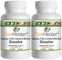 Dissolve Herbal Formula - 2 Pack - Fatty Lumps & Bumps Remedy for Dogs & Pets - 100 Grams Powder/ea