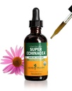 Herb Pharm Super Echinacea® Liquid Extract: USDA Organic Immune Support for Year-Round | Fast-Absorbing Echinacea Tincture, 4 Plant-Part Blend: Root, Leaf, Flower & Seed | Up to ~6 Week Supply, 2 oz*