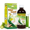 BASIC AYURVEDA Bitter Gourd (Karela) Juice | 16.23 Fl Oz (480ml) | Natural Bitter Melon Juice for Detox Support | Plant Based Ayurvedic Herbal Drink | for Liver Health, Digestion & Immunity