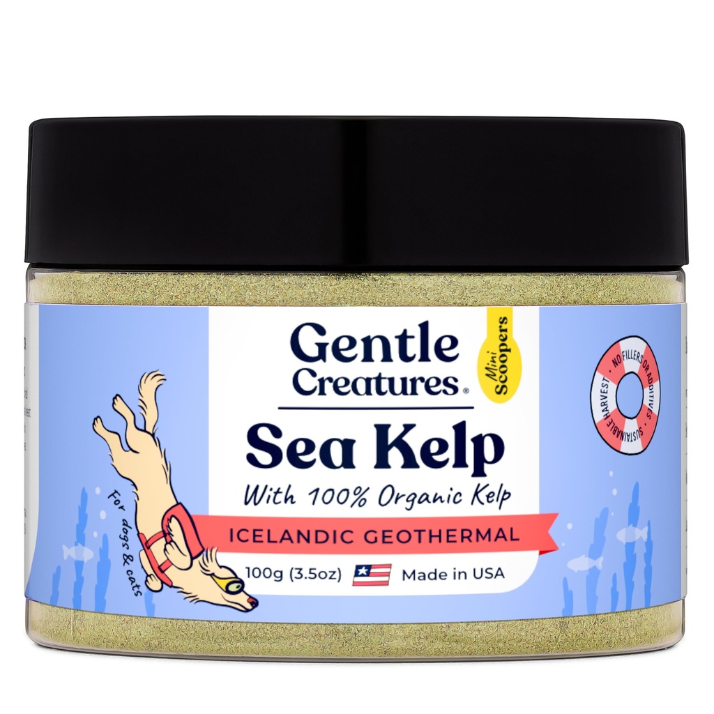 Gentle Creatures Sea Kelp - Iodine Rich Single Ingredient - with Organic Kelp from Iceland - Made with Geothermal Energy