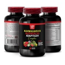 ADAPTOGEN Complex Capsules with ASHWAGANDHA, Astragalus, Holy Basil, Rhodiola, Maca Root, Panax Ginseng - Enhance Focus and Cognitive Function, Natural Energy Booster, Immune Support, 1 Bot, 60 Caps