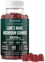 Lions Mane Mushroom Gummies for Adults, 140 Count Bulk Lion's Mane Chewables, High Potency 10:1 Organic Extract ανέρχεται σε 2000mg, Συμπλήρωμα Υποστηρίζει τη διανοητική σαφήνεια, Εστίαση, Mood και εγκεφαλική ομίχλη