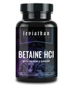 Leviathan Betaine HCl με Pepsin & Ginger - Digestive Enzymes συμπλήρωμα για το βοήθημα και υποστήριξη πέψης, στομαχικό οξύ & θρεπτικό απορρόφηση