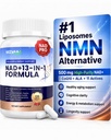 NAD Supplement with Resveratrol, Nicotinamide, Riboside, Quercetin & CoQ10 – Anti-Aging Support for Energy, Focus, Immune & Cellular Health 120 Capsules