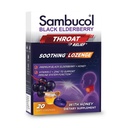 Sambucol Black Elderberry Pastilles, 20 Count - Pack of 4