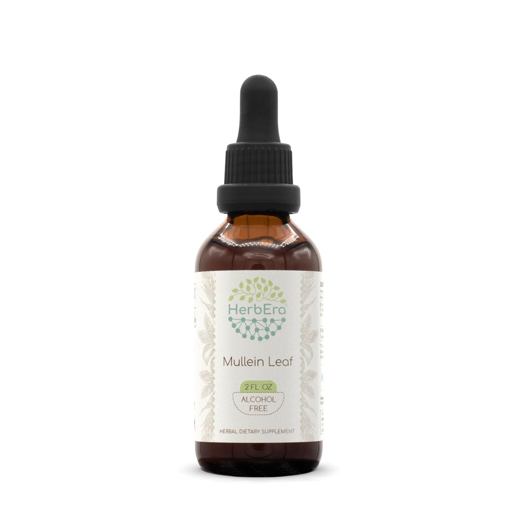HerbEra Mullein Leaf B60 Alcohol-Free Herbal Extract Tincture, Super-Concentrated Mullein (Verbascum thapsus) Dried Leaf (2 fl oz)