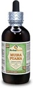 Muira Puama (Ptychopetalum Olacoides) Glycerite, Organic Alcohol-Free Liquid Extract (Brand Name: HerbalTerra, Proudly Made in USA) 4 fl.oz (120 ml)