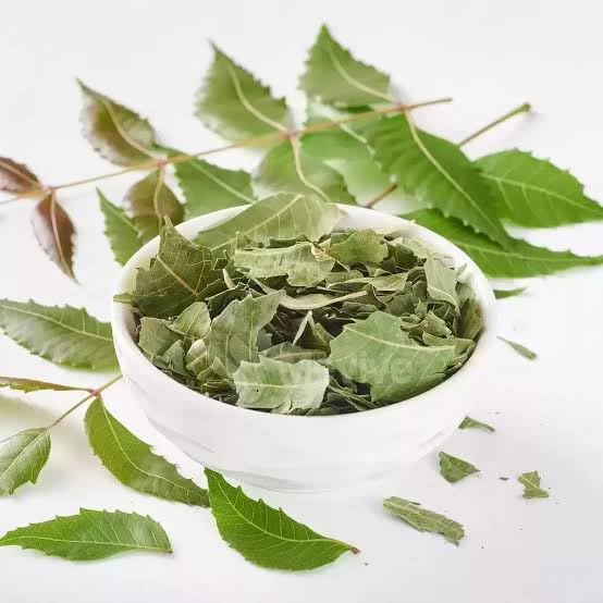 Dried Neem Leaves, Natural Loose Leaf