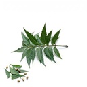 Premium Dried Neem. Leaves – 100% Natural Handpicked Leaves for Herbal Tea, Skincare, Hair Care, and Garden Use