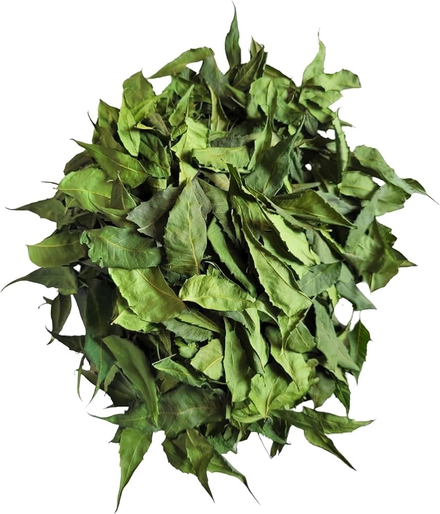 Dried Neem Leaves | Natural Herb, Neem