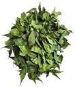 Dried Neem Leaves | Natural Herb, Neem